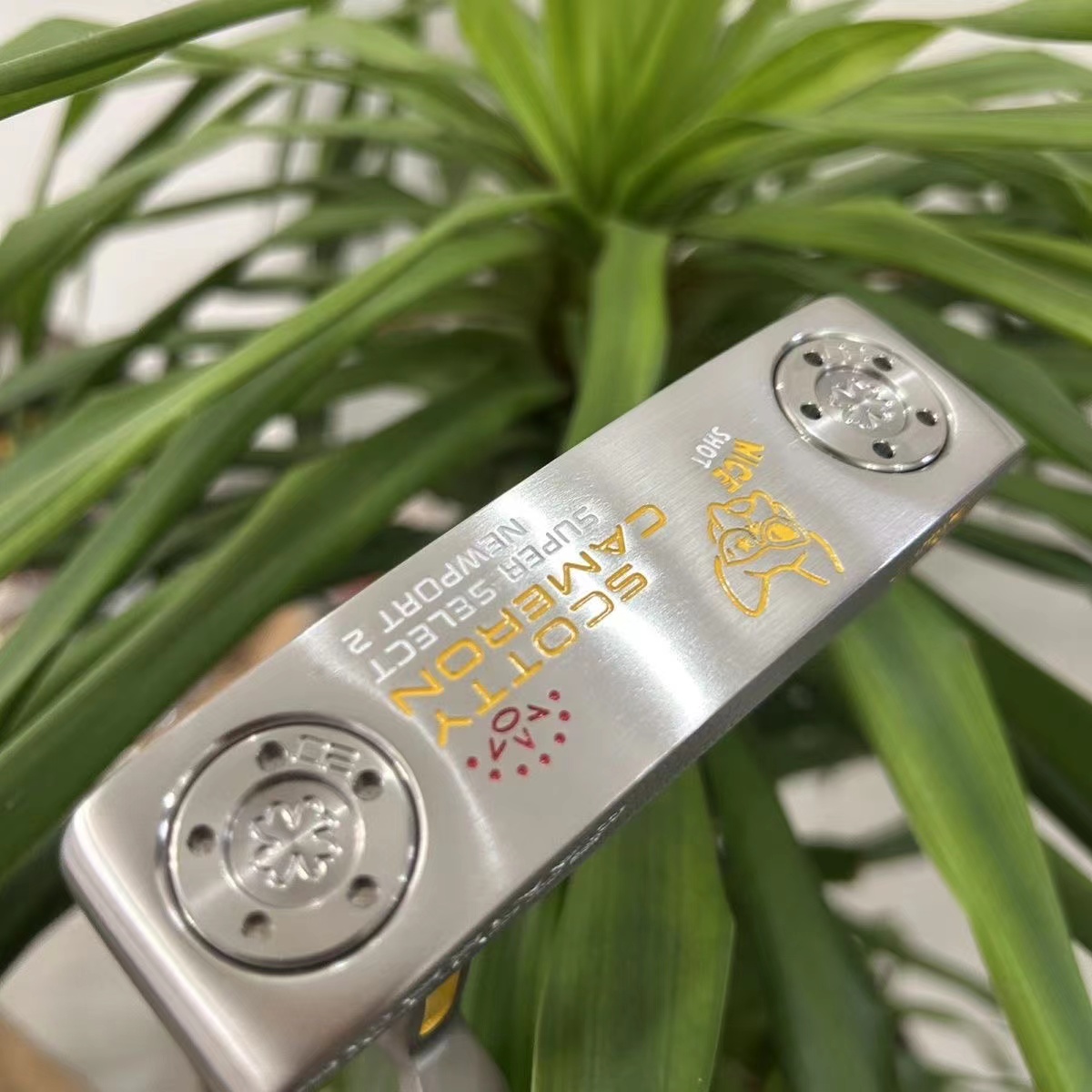 Bild von 2025 Scotty Cameron Super select Newport 2  Limited edition puppy putter Custom Golf putter With cover